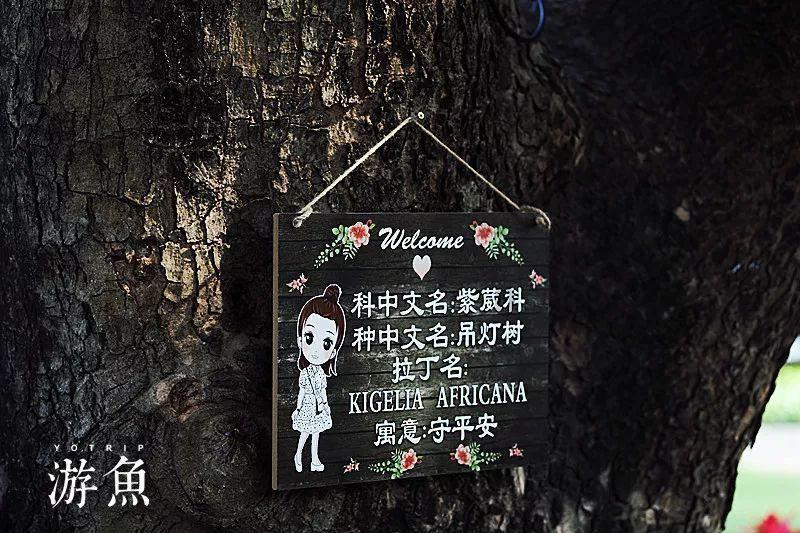 【跟明星一起工作是一种怎样的体验】专业问答交流平台